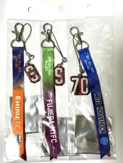 北海道コンサドーレ札幌　ボンフィン