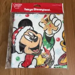 東京ディズニーリゾート　2012 クリスマス　ウォッシュタオル