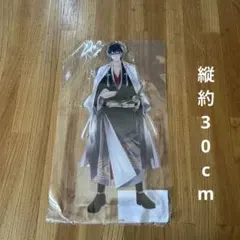 銀魂 神威 テレ東 AnimeJapan AJ メガアクリルスタンド 和装「緋