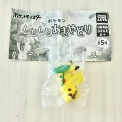 あまやどりピカチュウ