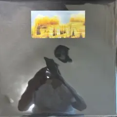 Bonobo - Drift / Memory Signal 400枚限定 新品 - メルカリ
