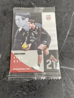 ③永露元稀 男子日本代表 バレーボール ウエハース