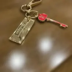 IVE DIVE Japan 入会特典オリジナルキーホルダー