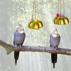 Item thumbnail for item fe591250-8b60-4584-a7c7-c959e2958cc2