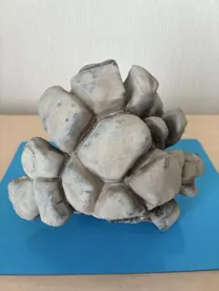 骨董品 貴重 縁起物 鉱物 観賞石 天然石 佐渡赤玉石 - メルカリ