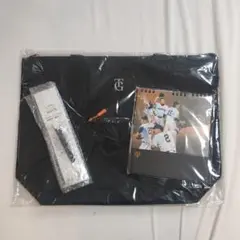 Item thumbnail for item c4fd50c0-d46c-4484-82d2-01e77cdbb84d