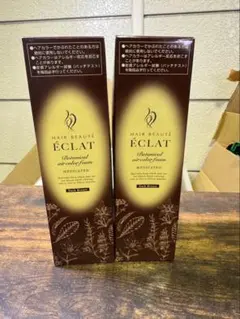 ヘアボーテエクラ EX 150g 2個セット ダークブラウン - メルカリ