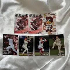 プロ野球チップスカード 2025 東北楽天ゴールデンイーグルス セット