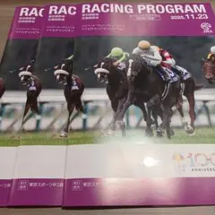 11/23 JRA レーシングプログラム 2