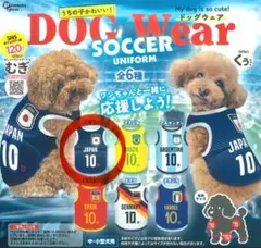 ドッグウェアサッカー日本代表ver. ブルー L 犬服 サムライブルー