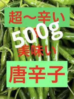 500g 超ーー辛い！＆旨い！大分県産 唐辛子のサムネイル
