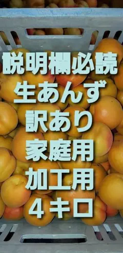 生あんず　訳あり　ハネだし　４キロ　加工用　家庭用　ジャム用のサムネイル
