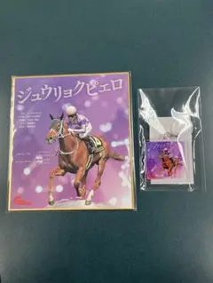 ジュウリョクピエロ×今村聖奈 色紙 アンブレラマーカー - メルカリ