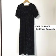 SENSE OF PLACE パネルドットワンピース 半袖