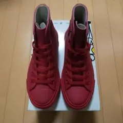 CONVERSE オールスター RAINPROOFY HI 23センチ