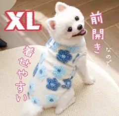 Item thumbnail for item 40c0d8b5-0ad1-4548-94f3-fa82e4da6c7a