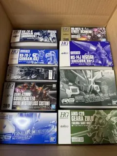 ガンプラ まとめ売り セット RG HG 10種