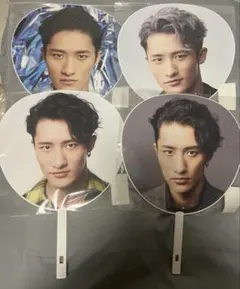 SnowMan うちわ　5枚セット　岩本照　全員　まとめ売り