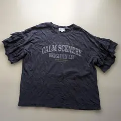 Denifits 半袖Tシャツ フリル袖 Мサイズのサムネイル