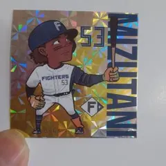 北海道日本ハムファイターズ 水谷瞬選手 シール ごまだれ餅