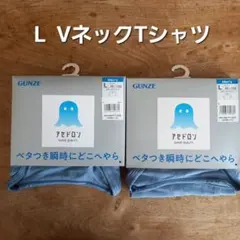グンゼ　アセドロン VネックTシャツ　 メンズL サイズ　2枚 ジーンズブルー