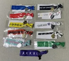 BUMP OF CHICKEN ツイストバンド11点セット アラワレタ（紫）入り