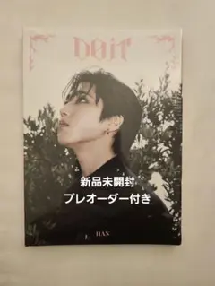 【新品未開封】straykids DO IT accordion ハン