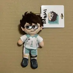 ジロリぬいぐるみ 2025年最新】ハイキュープラザ ジロリ ぬいぐるみの人気アイテム