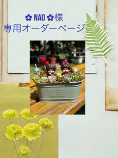 【✿ nao ✿様専用オーダーページ】です！！