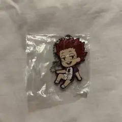 ハイキュー でふぉラバ 白鳥沢学園 天童覚