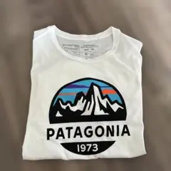プ*ヲ様 パタゴニアオーガニックコットンTシャツ M