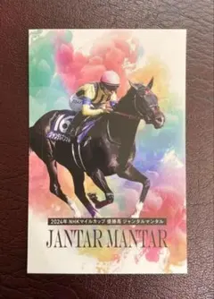 引退ジャンタルマンタル ICカード着せ替えシールのサムネイル