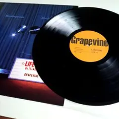 2026年最新】grapevine in a lifetimeの人気アイテム - メルカリ