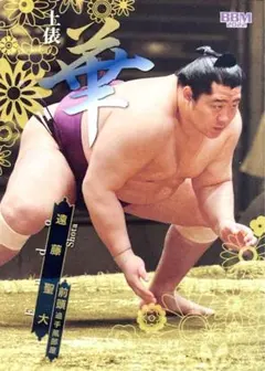 Item thumbnail for item 3bc4dae3-c5b4-4bc9-a0de-3f1abf2a4f2f