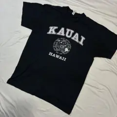 639] USA古着 ALSTYLE Tシャツ 半袖 ネイビー M 海外 輸入のサムネイル