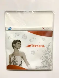 ☆★ オードリー・ヘプバーン★☆マグネットポケット【非売品‼︎】
