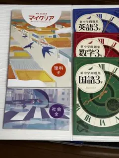 新中学問題集、マイクリアのセット