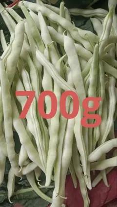 採れたて新鮮 白インゲン700g - メルカリ