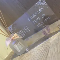 Item thumbnail for item e7d35c85-c9a5-4557-865d-190ed46f4cc3