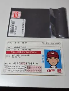 Item thumbnail for item 2cdf6309-388b-43ab-a205-85a313c24361