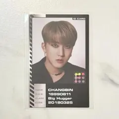 スキズ ODDINARY チャンビン トレカ IDカード