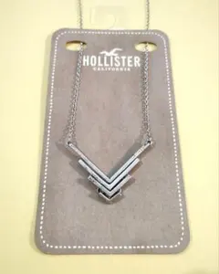 HOLLISTER ネックレスのサムネイル
