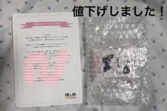 Stray Kids 推し旅 クリアケース ヒョンジン Hyunjin 当選