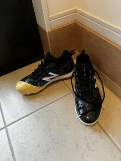 Item thumbnail for item 3167f14f-bacb-430f-9127-205a5eda05c0