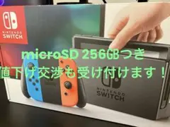 任天堂 Switch 本体 美品　microSD 256㎇付き