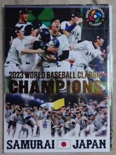 超入手困難品】WBC 2009【2枚セット】岩村明憲 クリアファイル - メルカリ