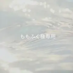 ★オーダー★384★ももふく様専用★ネイルチップ