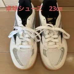 Mizuno 卓球用シューズ ホワイト/シルバー/ブラック