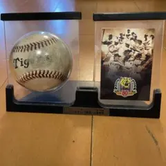 阪神タイガース 2015年キャンプ使用公式練習球