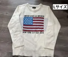 【WEGO】メンズ アメリカ国旗ニット Lサイズ